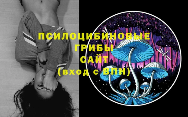 хмурый Осташков