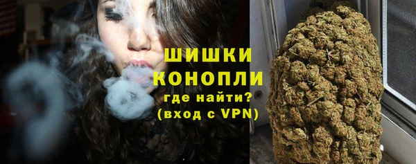 гидропоника Пересвет
