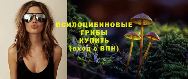 гидропоника Пересвет