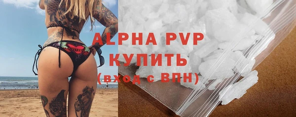 стафф Осинники