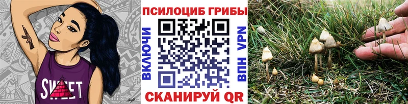 где купить наркоту  Куровское  Галлюциногенные грибы прущие грибы 