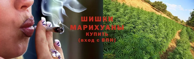 МАРИХУАНА Ganja  Куровское 